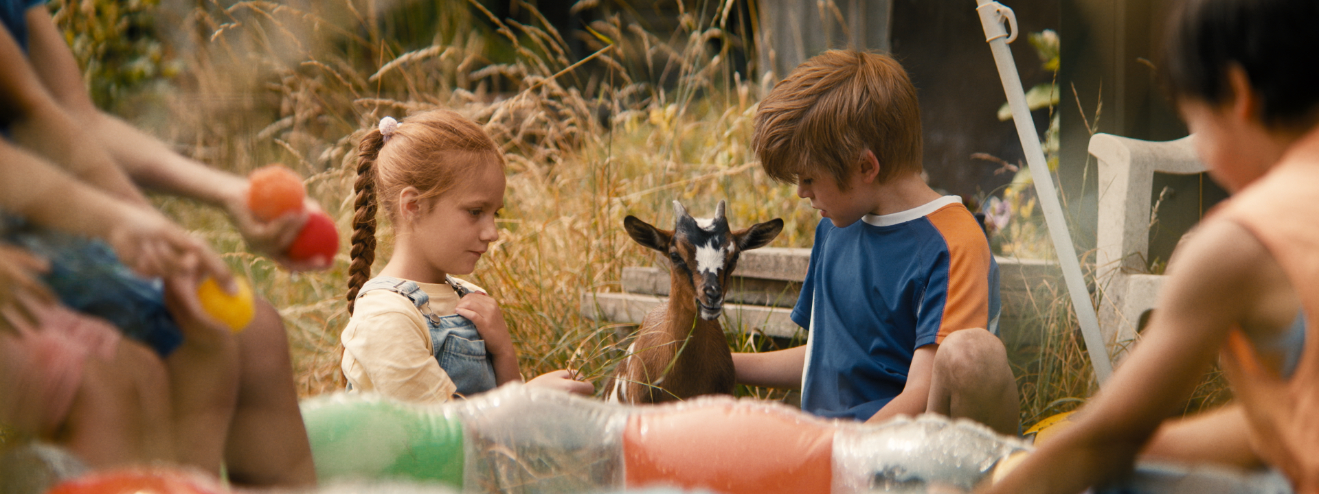 Geitje voor een karweitje